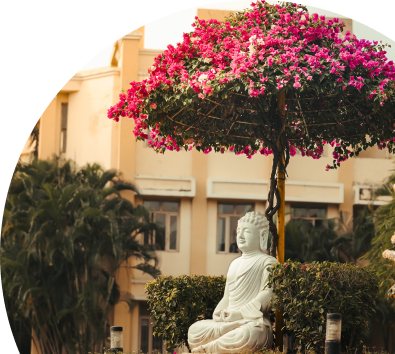 Celebrate. Explore. Shape Your Future